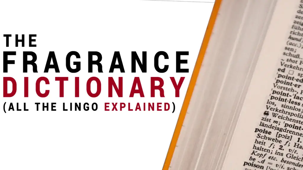 Read more about the article Fragrance Dictionary (All the Lingo EXPLAINED)
